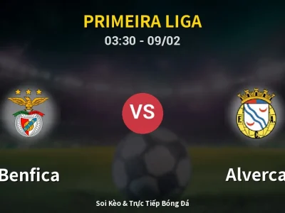 Kết Quả: Benfica 2-1 Alverca – Highlight & Bàn Thắng | Primeira Liga