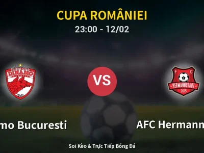 Soi Kèo Dinamo Bucuresti vs AFC Hermannstadt – 23:00 12/02 | Nhận Định, Dự Đoán Tỷ Số