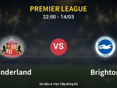 🔴 Trực Tiếp: Sunderland 0-0 Brighton – Link Xem Premier League (Full HD)