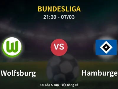 🔴 Trực Tiếp: VfL Wolfsburg 0-0 Hamburger SV – Link Xem Bundesliga (Full HD)